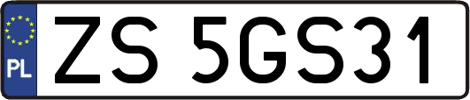 ZS5GS31