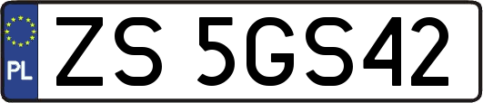 ZS5GS42
