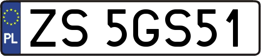 ZS5GS51