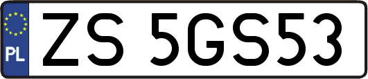 ZS5GS53