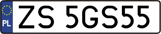 ZS5GS55