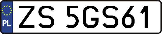 ZS5GS61