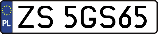 ZS5GS65