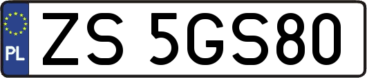 ZS5GS80