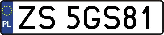ZS5GS81
