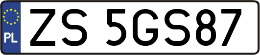ZS5GS87