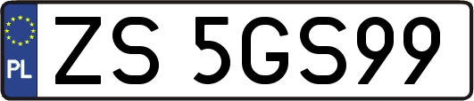 ZS5GS99