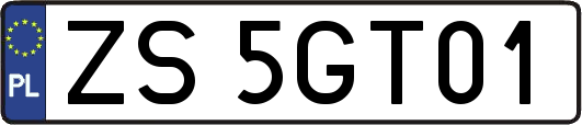 ZS5GT01