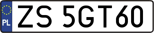 ZS5GT60