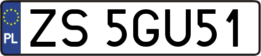 ZS5GU51