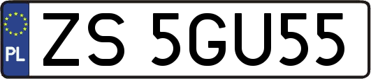 ZS5GU55