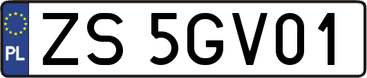 ZS5GV01