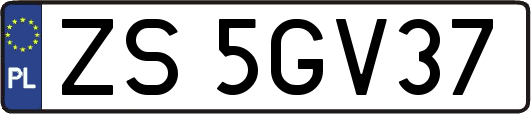 ZS5GV37