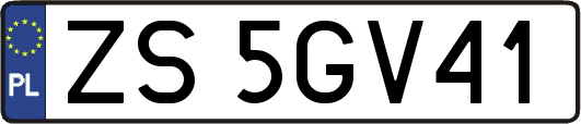 ZS5GV41