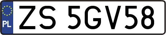 ZS5GV58