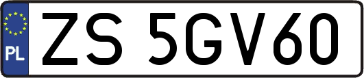 ZS5GV60