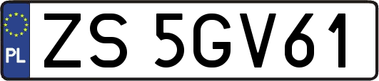 ZS5GV61