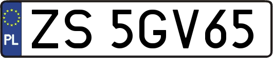 ZS5GV65