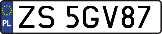 ZS5GV87