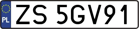 ZS5GV91