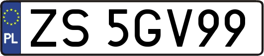 ZS5GV99