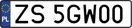 ZS5GW00