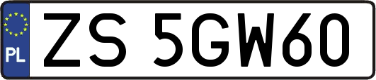 ZS5GW60