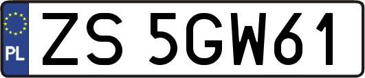 ZS5GW61