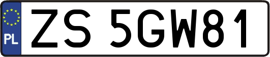 ZS5GW81