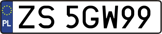 ZS5GW99