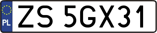 ZS5GX31