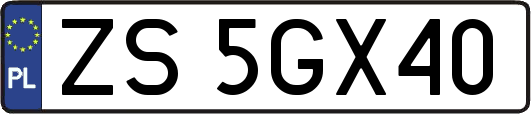 ZS5GX40