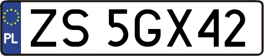 ZS5GX42