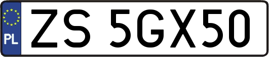ZS5GX50