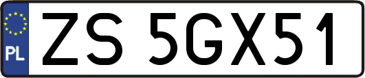ZS5GX51