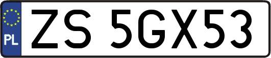 ZS5GX53