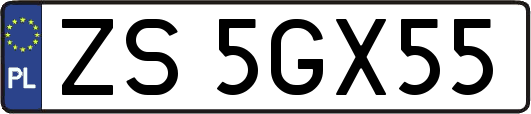 ZS5GX55