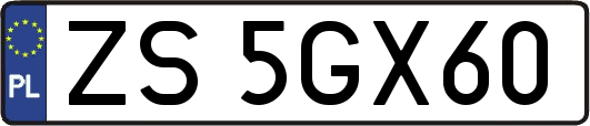 ZS5GX60