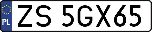 ZS5GX65