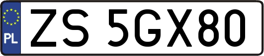 ZS5GX80