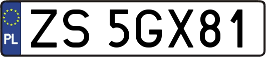 ZS5GX81