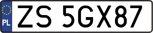 ZS5GX87