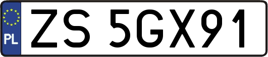 ZS5GX91