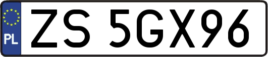 ZS5GX96