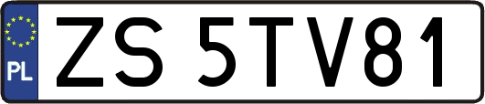 ZS5TV81