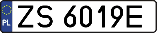 ZS6019E