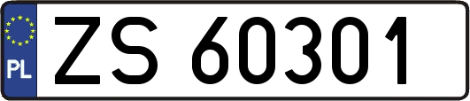 ZS60301