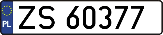 ZS60377