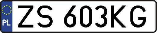 ZS603KG