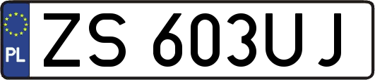 ZS603UJ